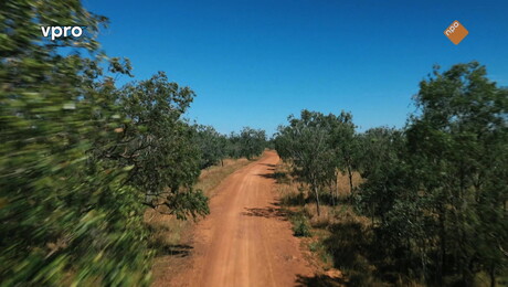 Freeks Wilde Wereld | Mini-roofdier in de dop